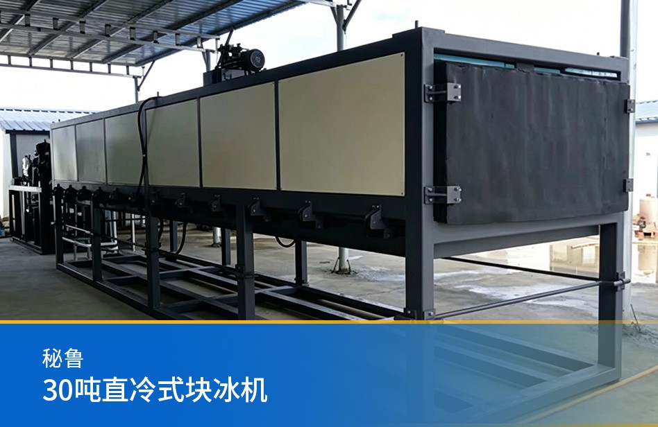 秘魯-30噸直冷式塊冰機(jī)